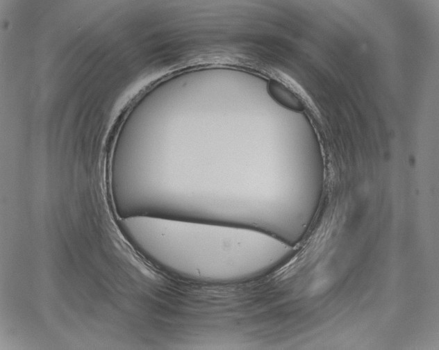 X0000067481035200604070922