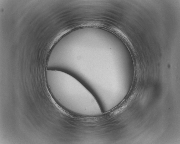 X0000067481041200604070923