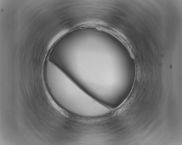 X0000067481042200604070923