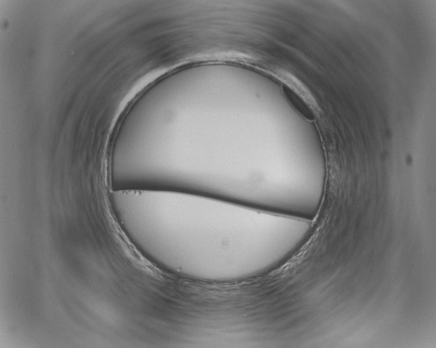 X0000067481044200604070923
