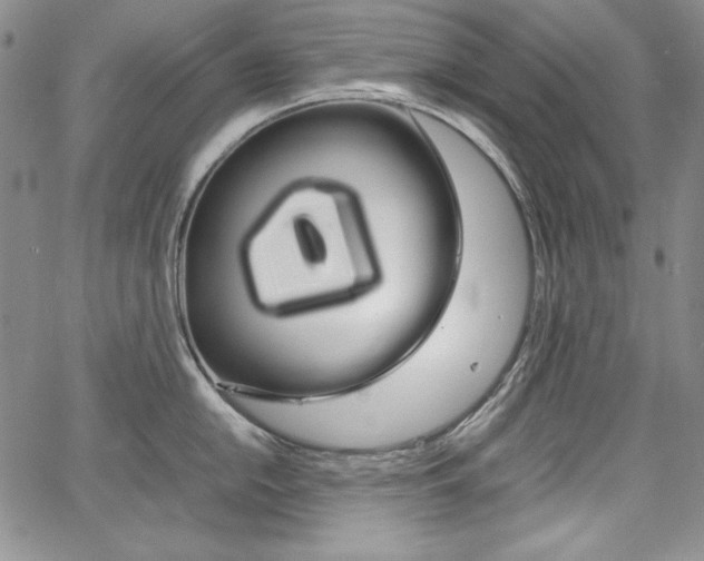X0000067481054200604070923