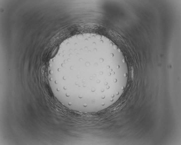 X0000067481059200604070922
