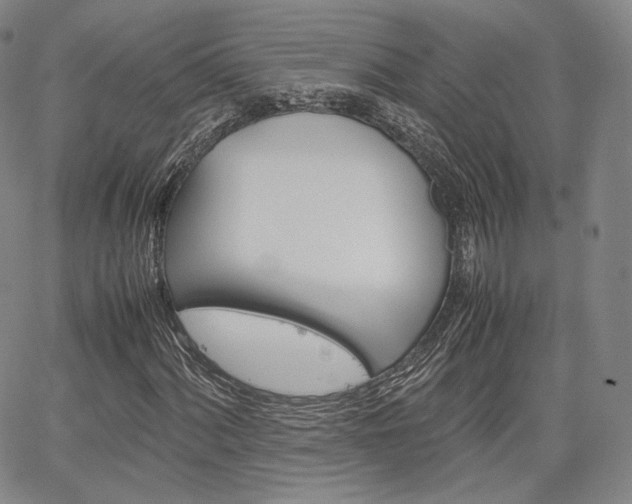X0000067481060200604070922