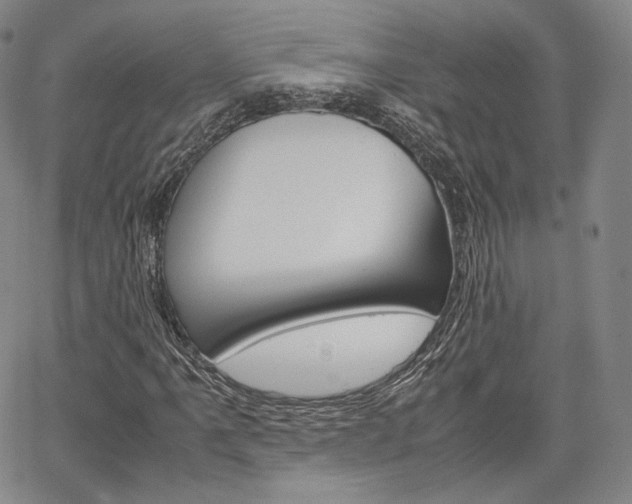 X0000067481061200604070922