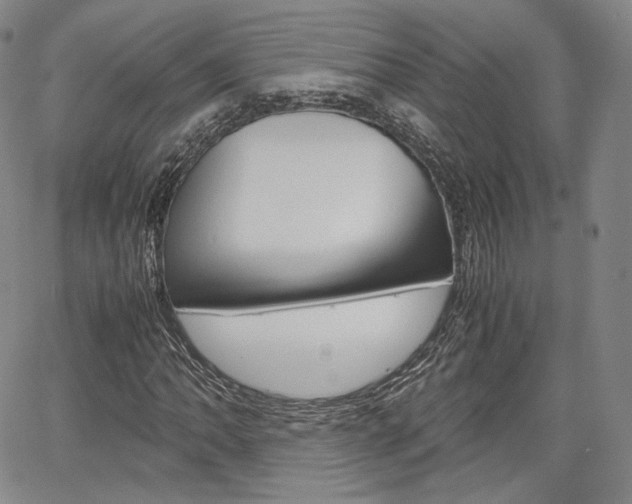 X0000067481062200604070922