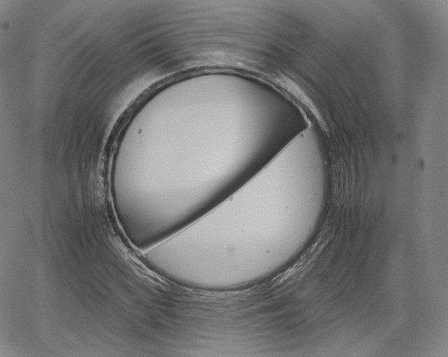 X0000067481068200604070922