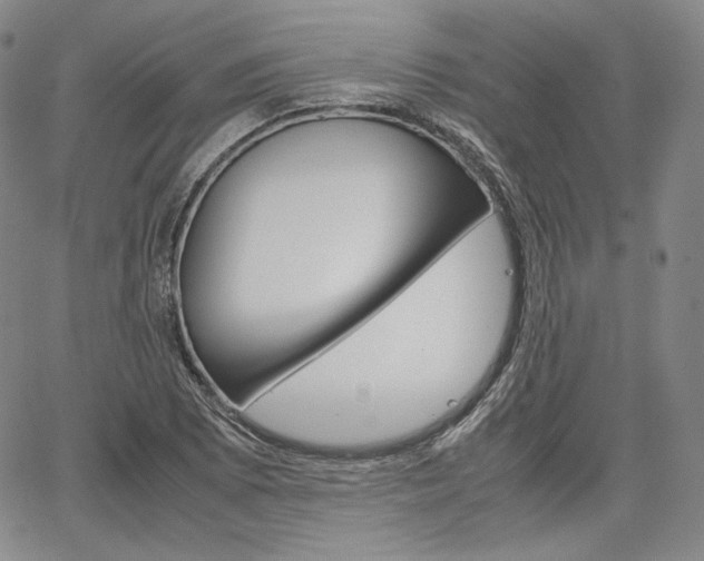 X0000067481073200604070922