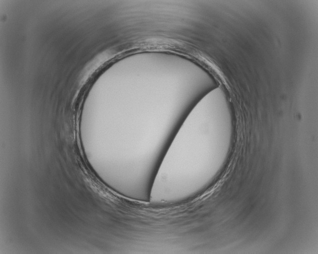 X0000067481075200604070922