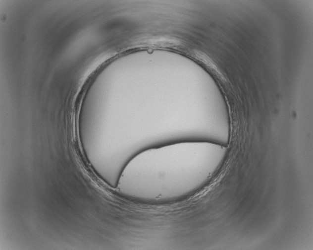 X0000067481079200604070922
