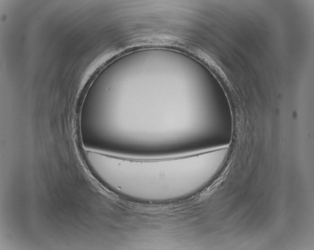 X0000067481085200604070922