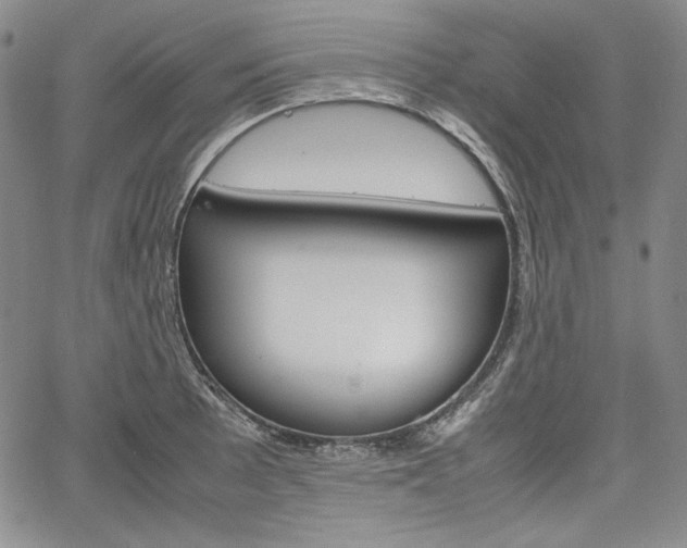 X0000067481089200604070922