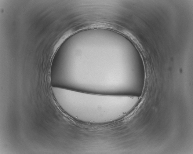 X0000067481097200604070921