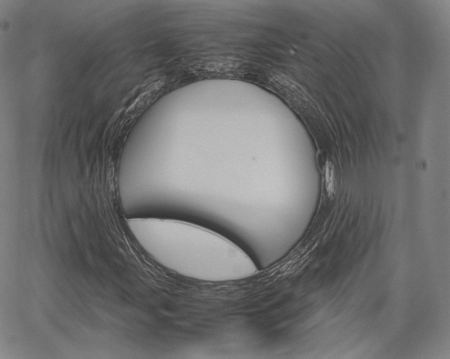 X0000067481107200604070921