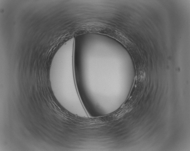 X0000067481108200604070921