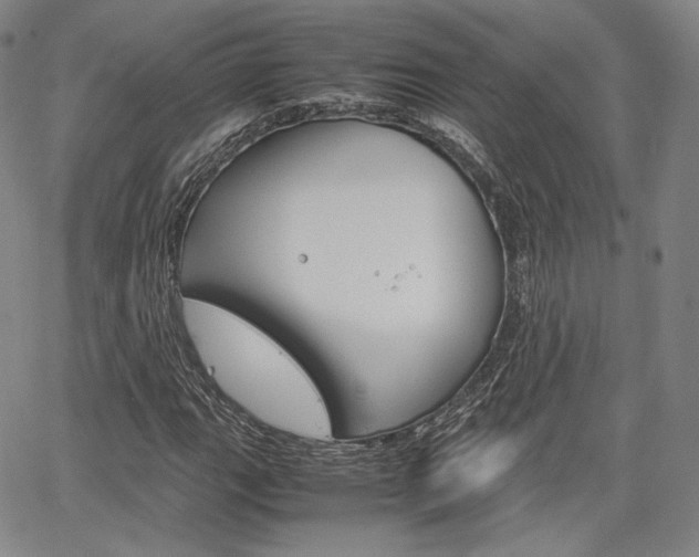 X0000067481111200604070921