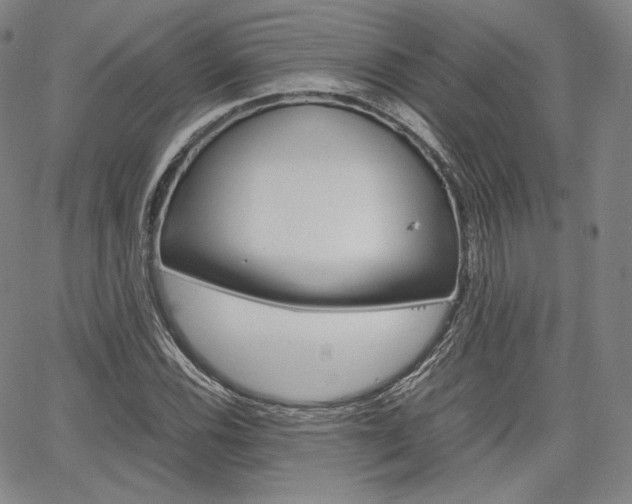 X0000067481116200604070921