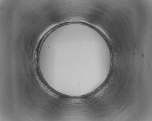 X0000067481126200604070921