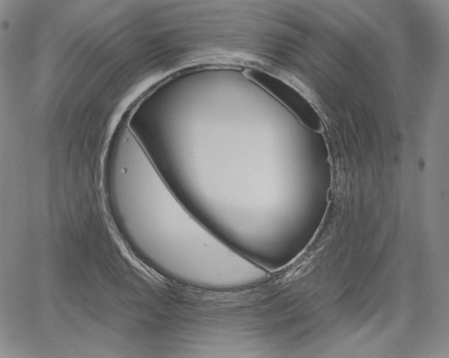 X0000067481128200604070921