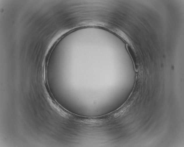 X0000067481132200604070921