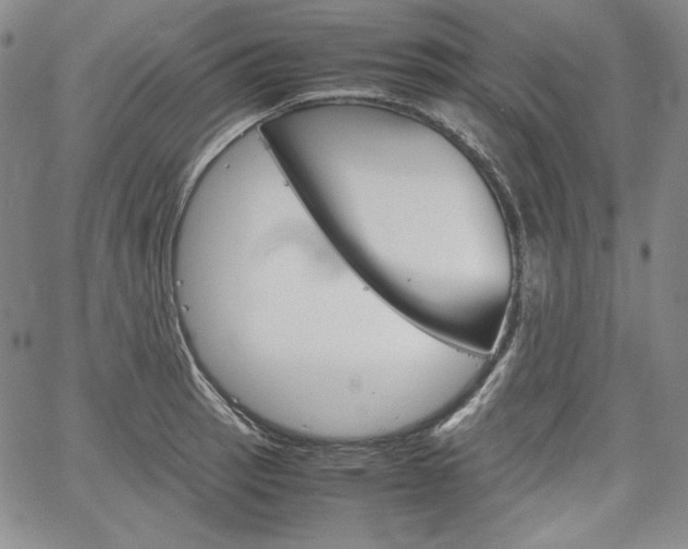 X0000067481137200604070921