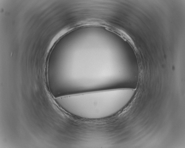 X0000067481146200604070921