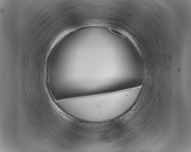 X0000067481147200604070921