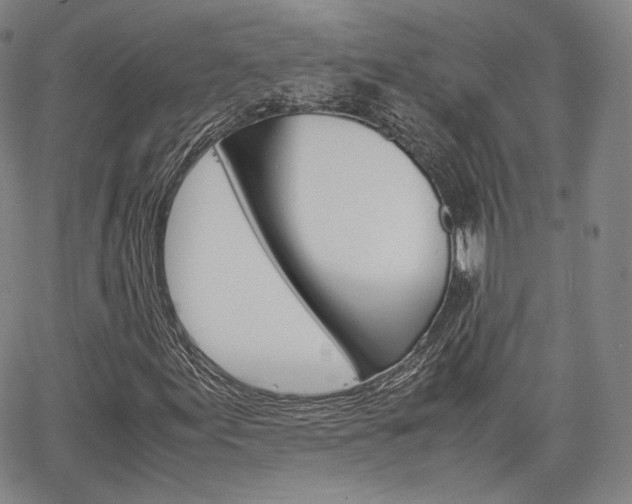 X0000067481155200604070920