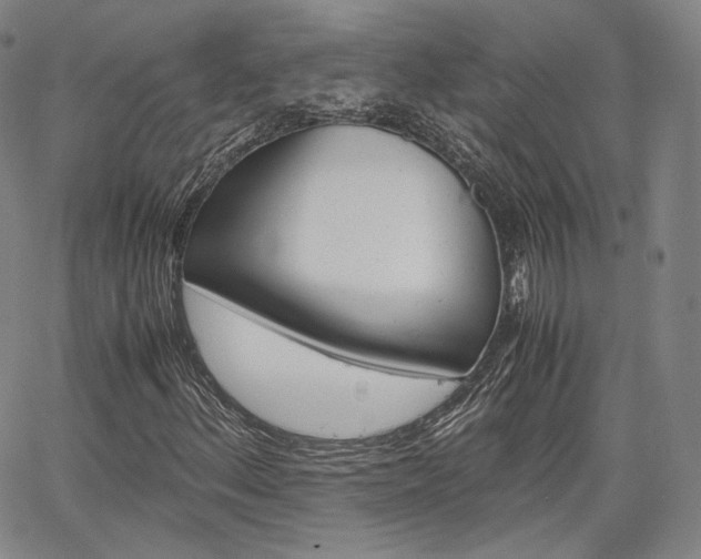 X0000067481156200604070920