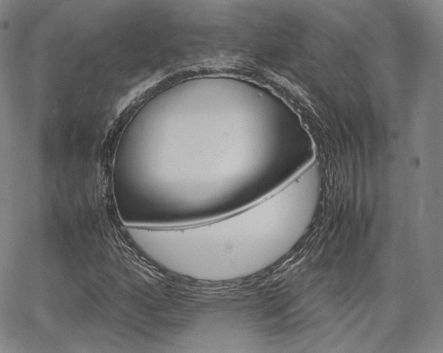 X0000067481160200604070920
