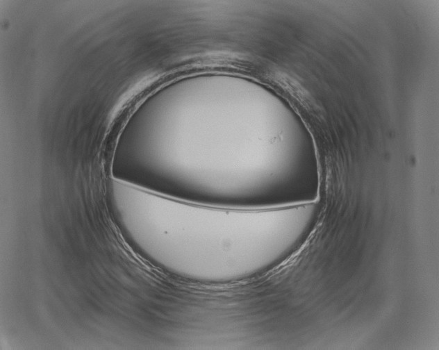 X0000067481164200604070920