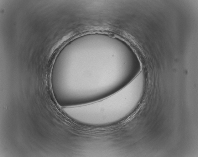 X0000067481165200604070920