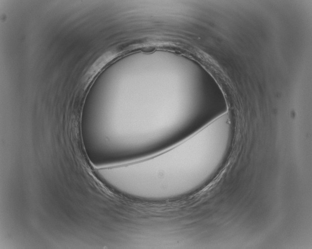 X0000067481177200604070920