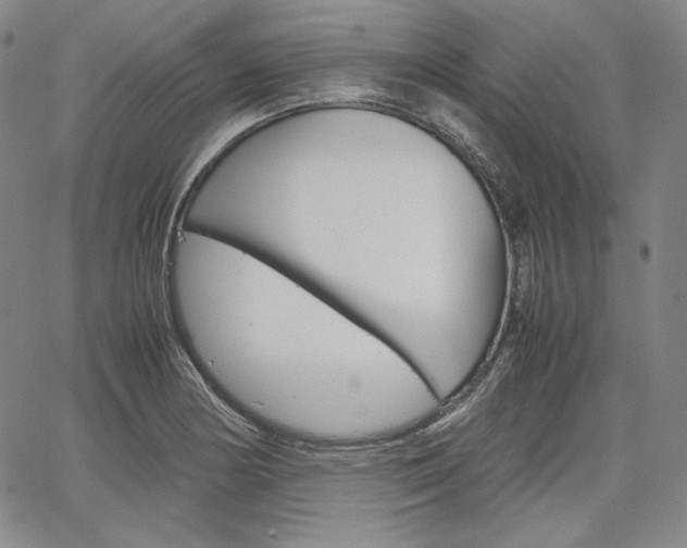 X0000067481178200604070920