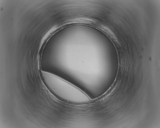 X0000067481180200604070920
