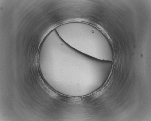 X0000067481186200604070920