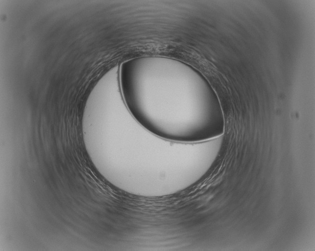 X0000067481202200604070919
