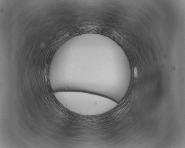 X0000067481203200604070919