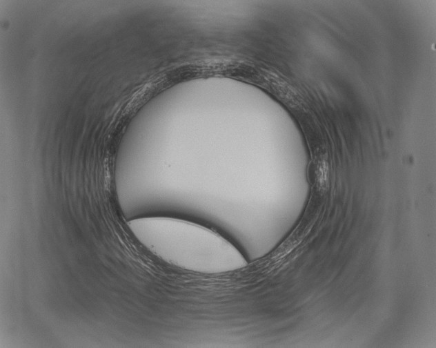 X0000067481204200604070919