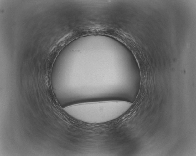 X0000067481205200604070919