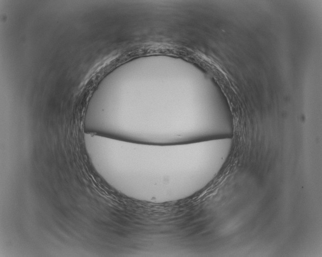 X0000067481207200604070919