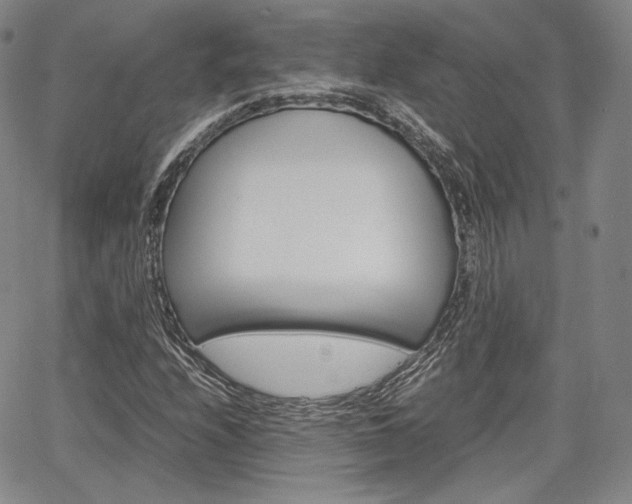 X0000067481208200604070919
