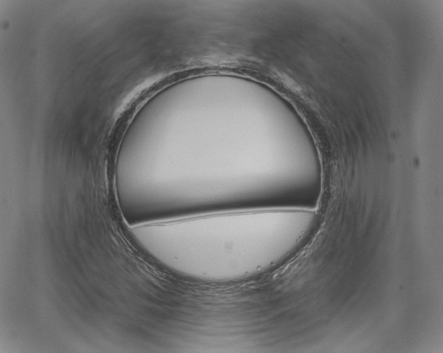 X0000067481214200604070919
