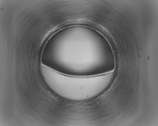 X0000067481218200604070919