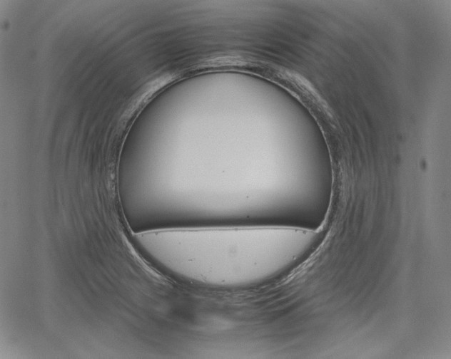 X0000067481225200604070919