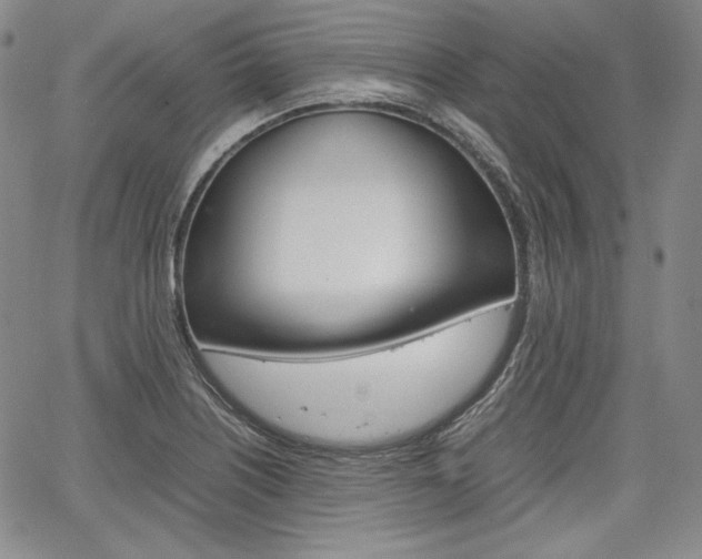 X0000067481226200604070919