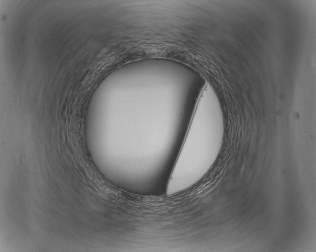 X0000067481249200604070919
