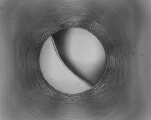 X0000067481250200604070919