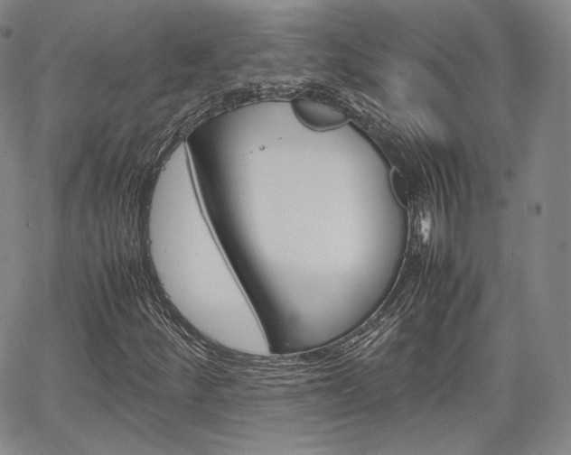 X0000067481252200604070919