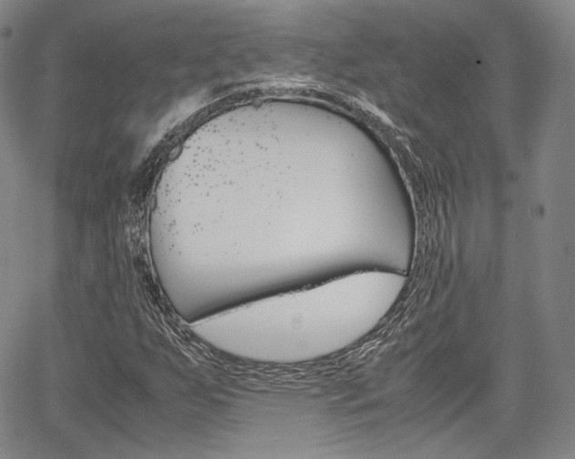 X0000067481255200604070919