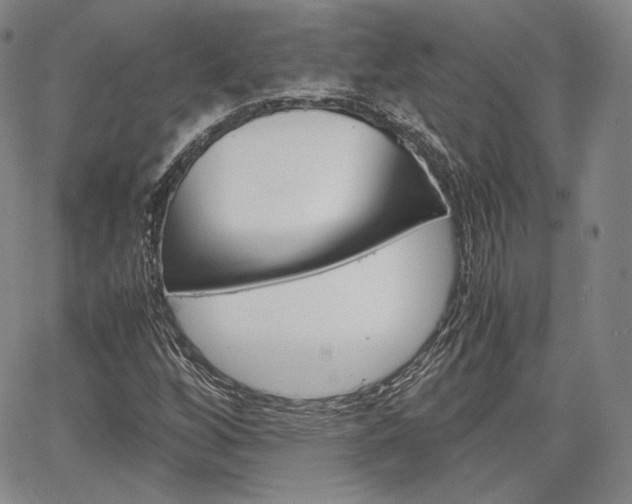 X0000067481256200604070919